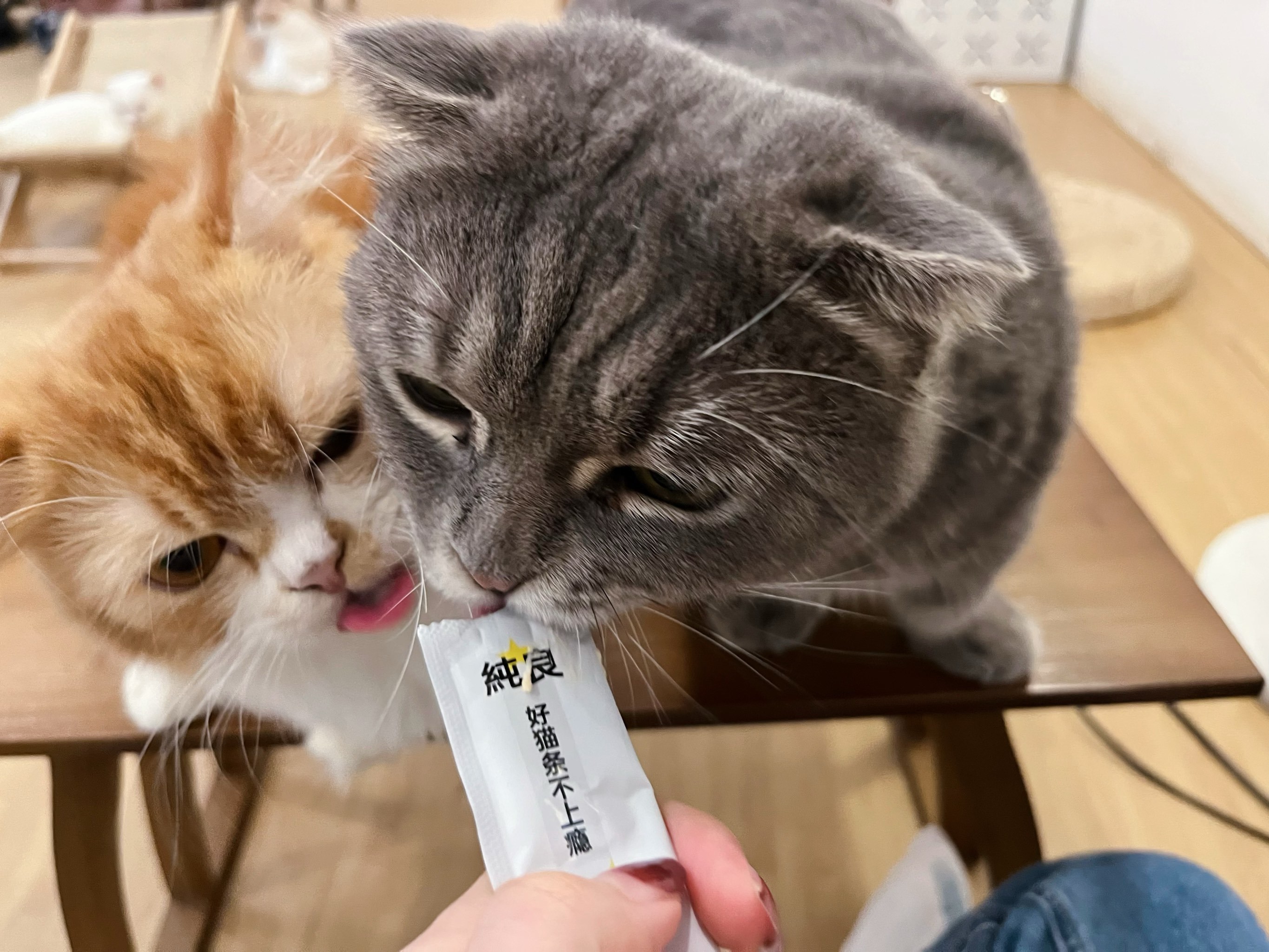 九游体育官网-??P	貓l	沯滀zo椼^?xV脄葪??,笟?厚?(z賾we噦zos)